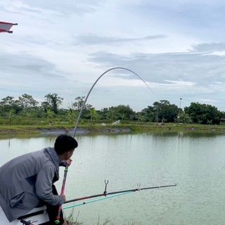 Phạm Hiển Fishing