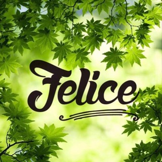 Felice Cosmetics
