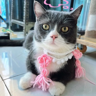 NiNu Pet
