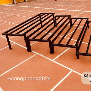 Hoàng Phong 2024