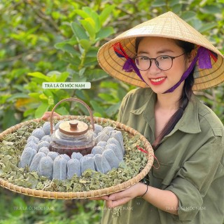 Trà Búp Ổi Mộc Nam