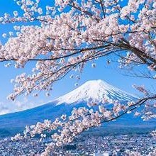 Shop Hàng Nhật Bổn