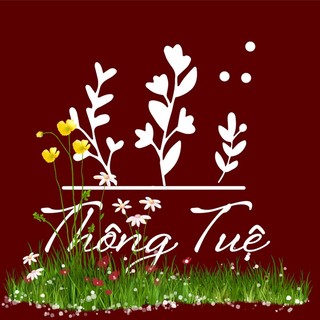 Thảo dược Thông Tuệ