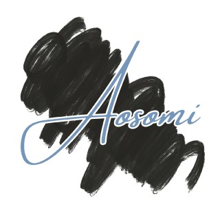 SHOP CHUYÊN SƠ MI NỮ