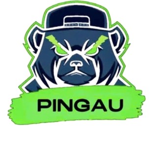 PINGAU - sạc dự phòng