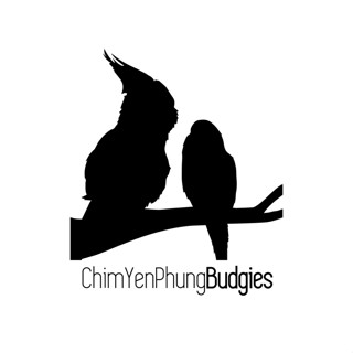 Shop Thú Cưng - YẾN PHỤNG SHOP