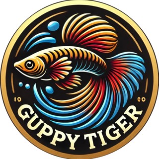 Guppy Tiger