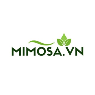 Mimosa.vn