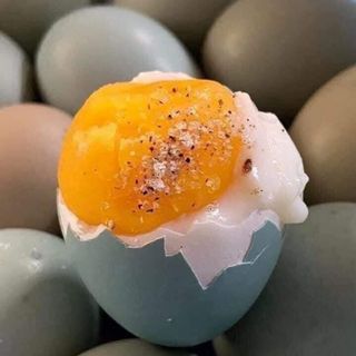 Thanh Truyền Bến Tre 71