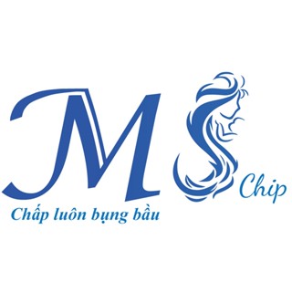 MS ChipBầu