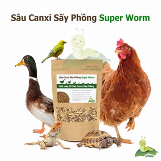 SHOP SÂU CANXI SẤY
