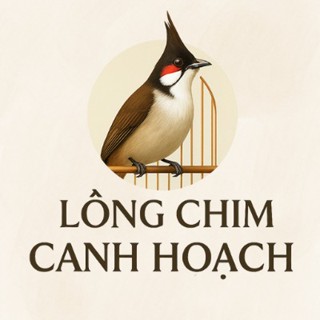 Phụ Kiện Chim Cảnh - HieuVac