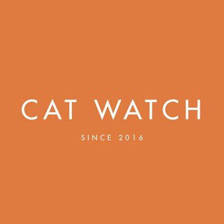 Cat Watch OfficiaI