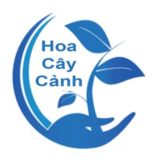 Hoa Cây Cảnh 28