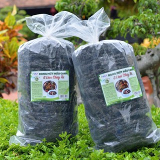 Tổng Kho Rong Biển