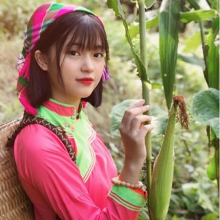 Thảo Dược Vùng Cao Giá Rẻ