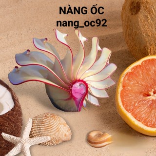KHO SỈ NÀNG ỐC