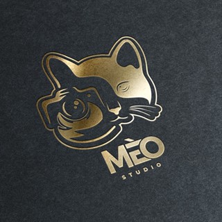 Mèo Studio