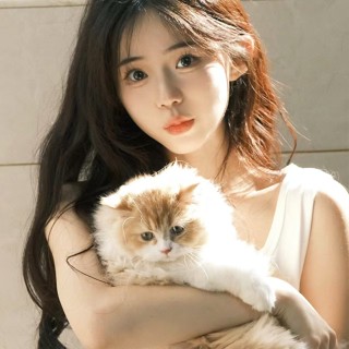 Thú cưng Thế giới