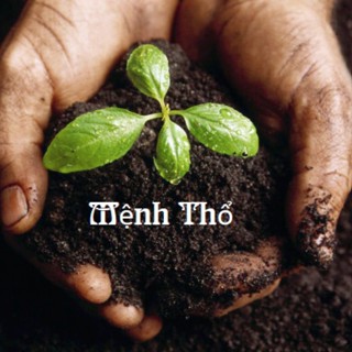 Mệnh Thổ Yêu Cây
