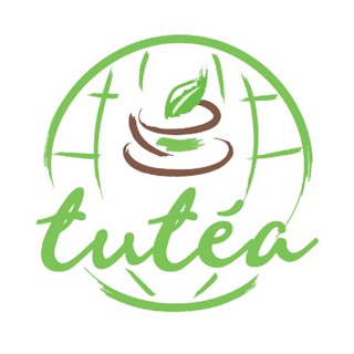 Trà Shan Tuyết Than Uyên