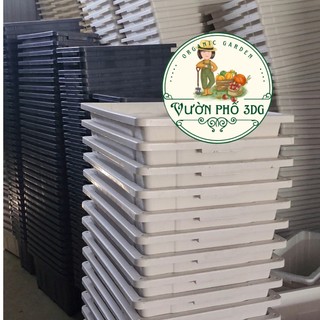 Tổng kho chậu cây Vườn phố 3DG