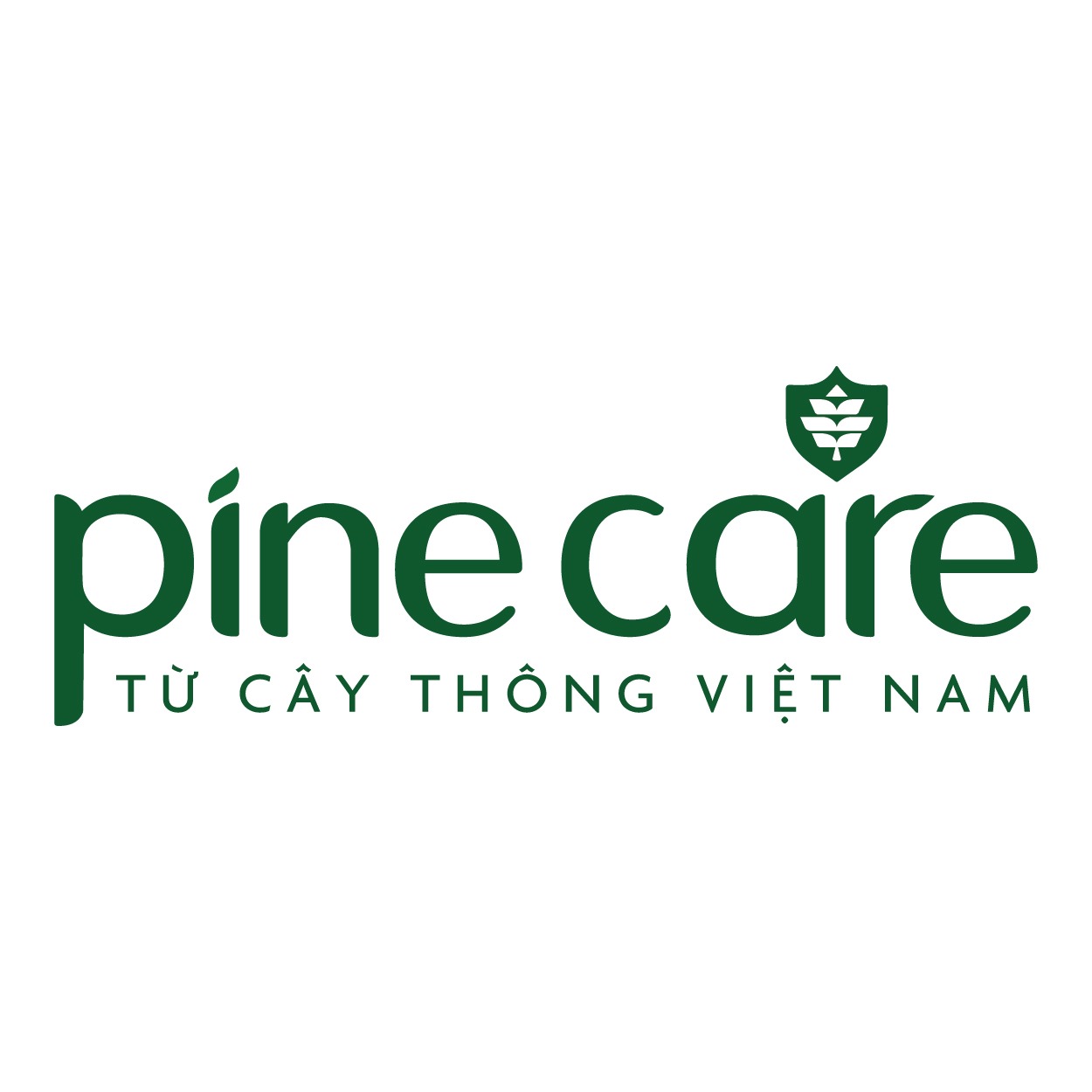 PineCare Vietnam