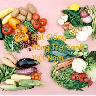Tổng Kho Hạt Giống Các Loại