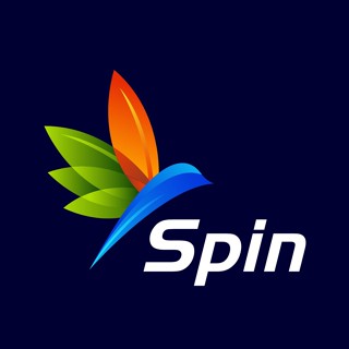 Spin Display Domain