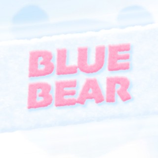 BLUEBEAR STORE