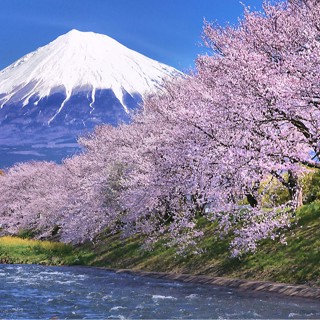 maithuytrang cosmetics