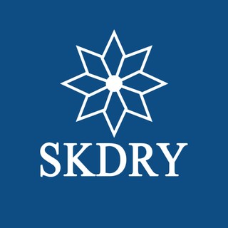 Gói hút ẩm SK Dry