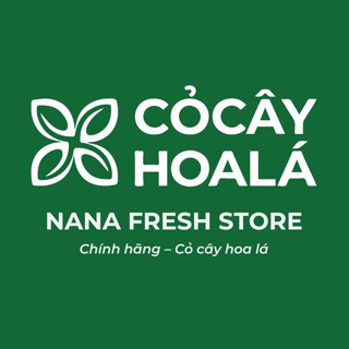 Nana Fresh Store