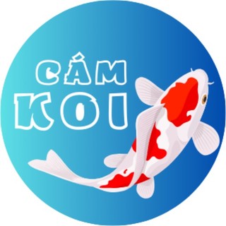 Vua Cám Koi
