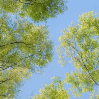 MÁY TÍNH HỌC SINH 68