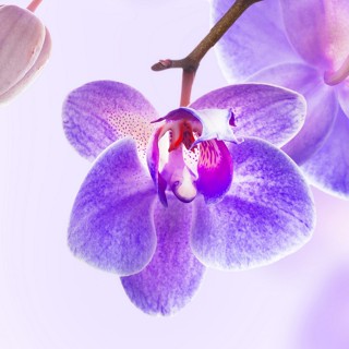 Thiết bị văn phòng pro