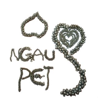 Ngaupet mèo chó gì cũng có