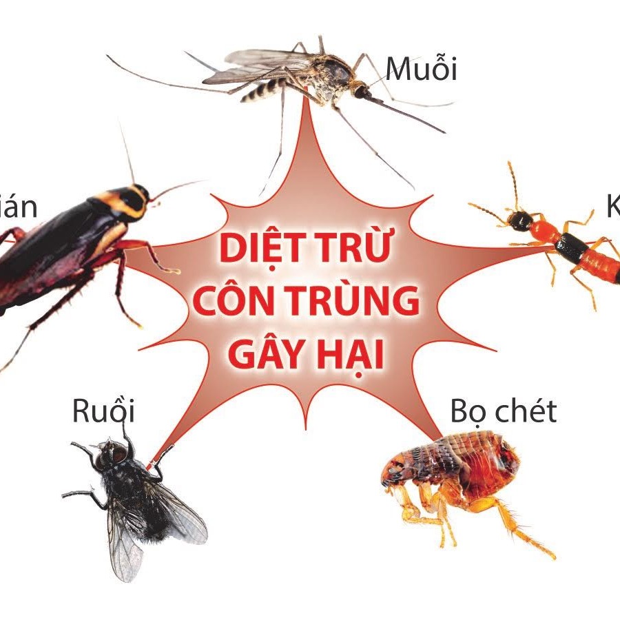 CHUYÊN THUỐC DIỆT CÔN TRÙNG