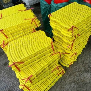 Trần Mây Vân