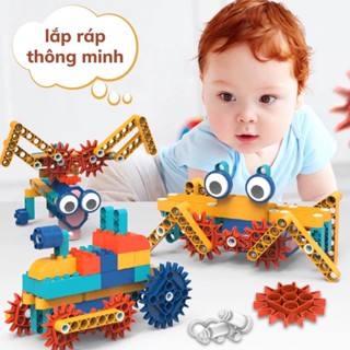 Đồ Chơi Nhà Dế