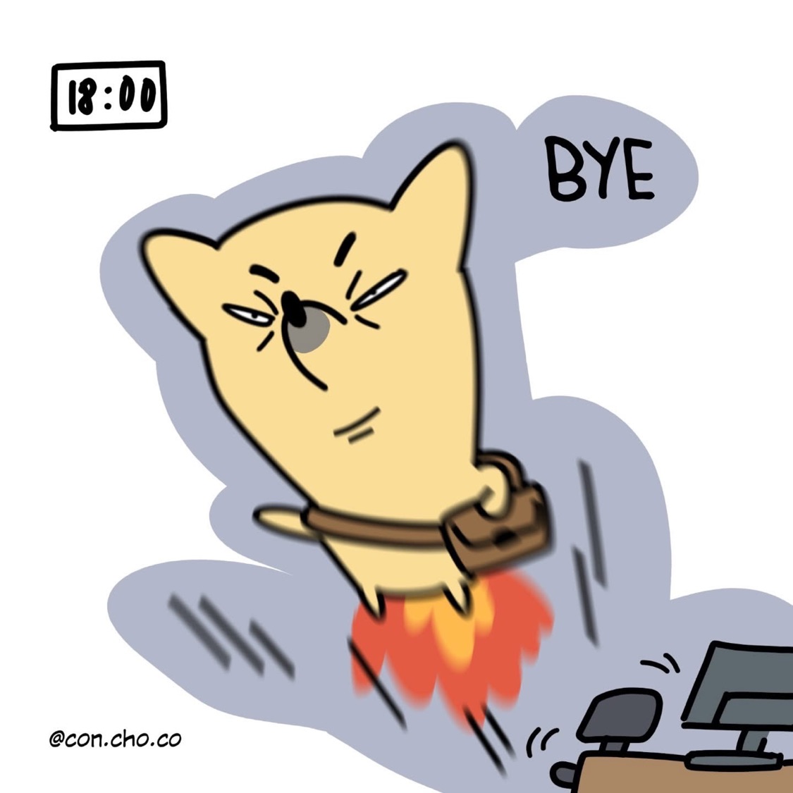 Tất phun stocking Hàn Quốc