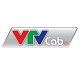 VTVCab