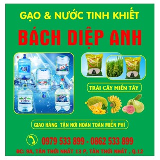 Bách Diệp Anh