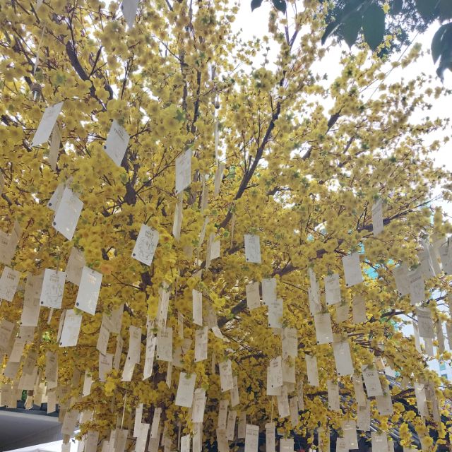 Linh Kiện Sỉ Laptop H&P