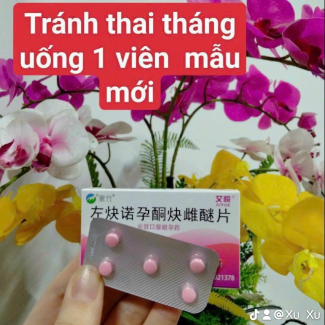 Kho Sỉ Hà Khẩu