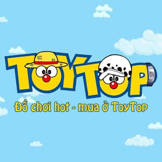 Toy Top