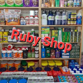 Ruby_Shop