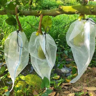 Cửa Hàng Túi Bọc