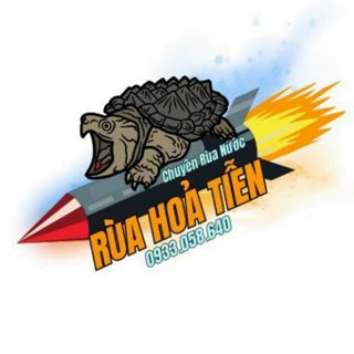 Phụ kiện nuôi rùa và bò sát