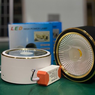 Đèn LED Hồng Lạc